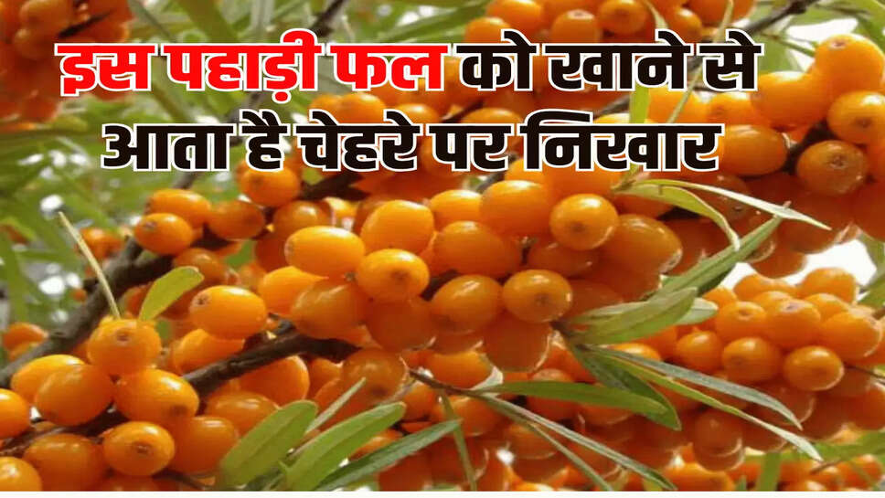 इस पहाड़ी फल को खाने से आता है चेहरे पर निखार