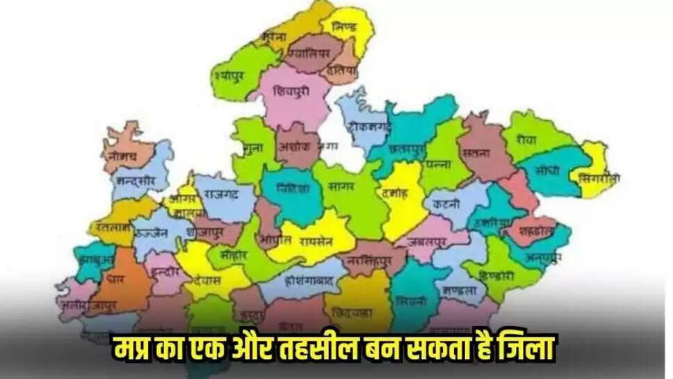 Mp news