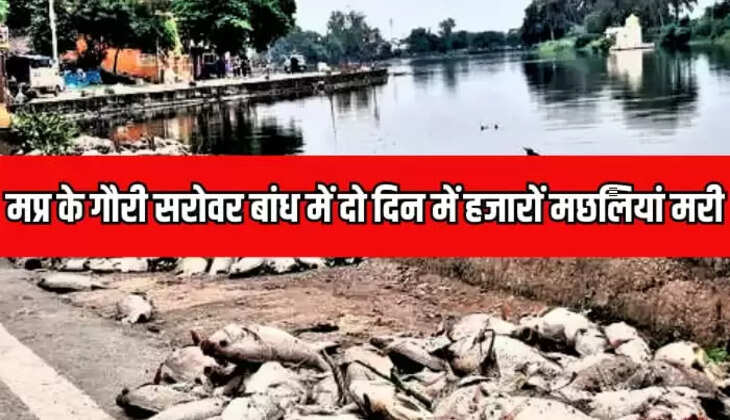 गौरी सरोवर बांध