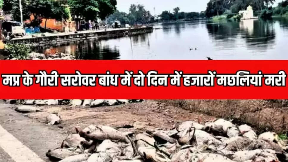 गौरी सरोवर बांध