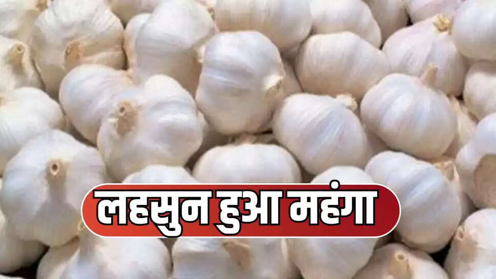 लहसुन हुआ महंगा