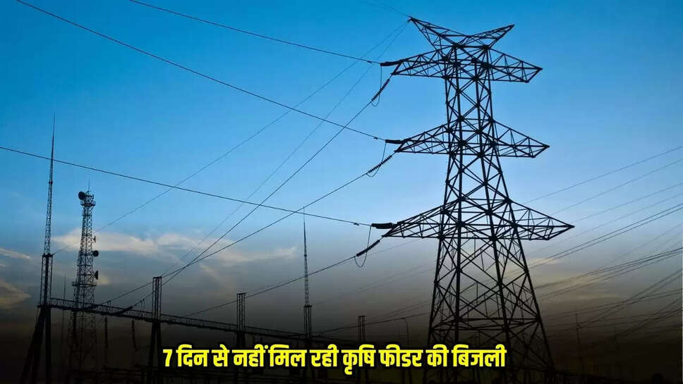 Mandsaur News