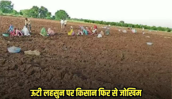 Mandsaur news, MP news,