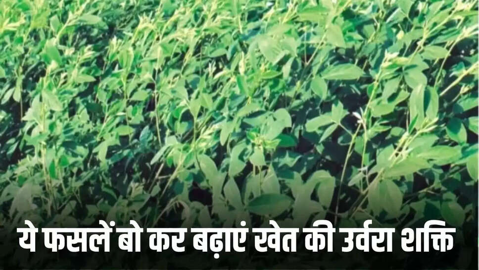 खेत की उर्वरा शक्ति,