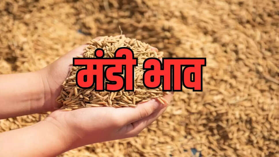  चावल में गिरावट,  उड़द, तूवर, चना 