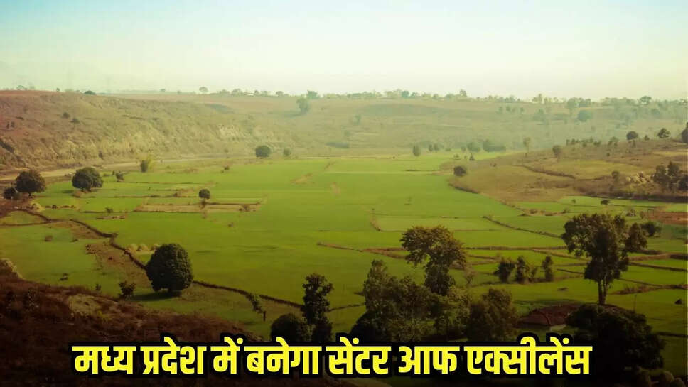 MP News