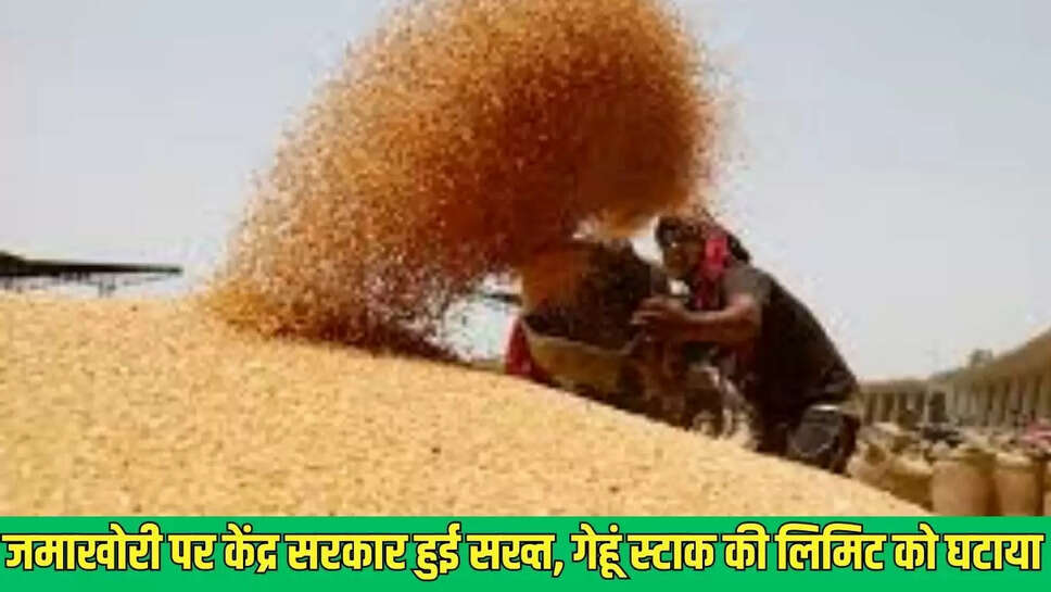 Wheat stock cut : जमाखोरी पर केंद्र सरकार हुई सख्त, गेहूं स्टाक की लिमिट को घटाया 