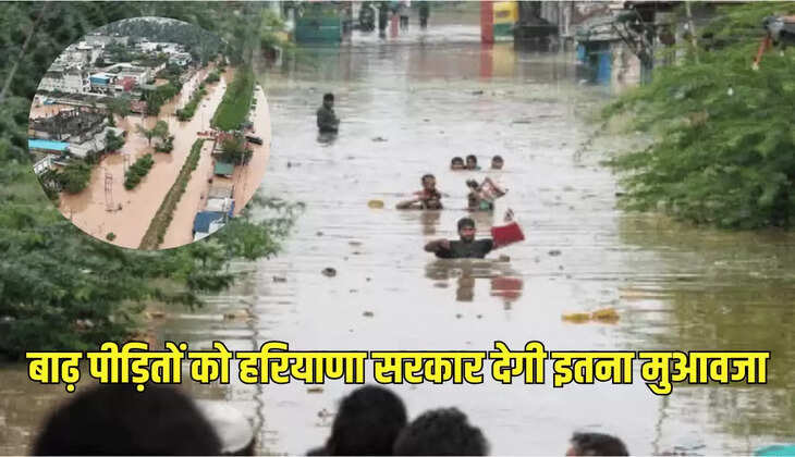 बाढ़ पीड़ितों को हरियाणा सरकार देगी इतना मुआवजा