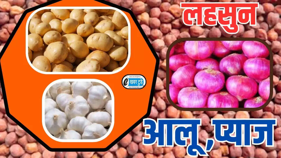  garlic and onion onion price 