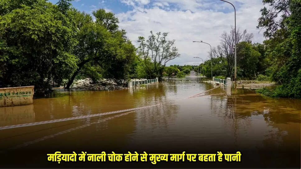 Damoh News