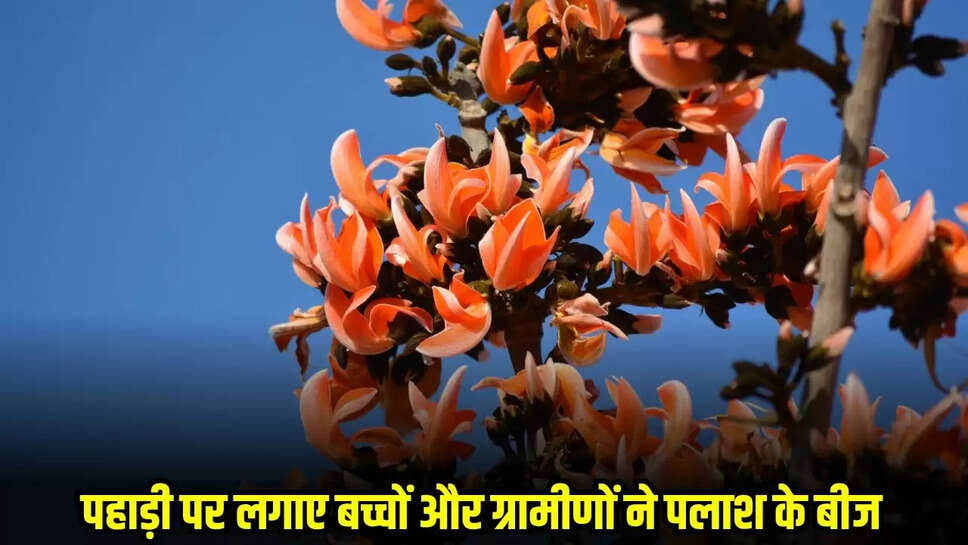 Burhanpur News