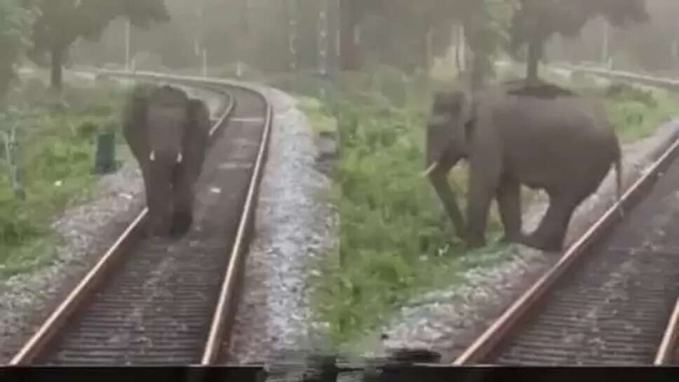 Viral video