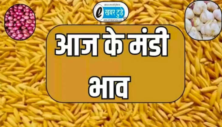 प्याज की आवक बढ़ी, लहसुन भी चढ़ा ,प्लांट में सोयाबीन