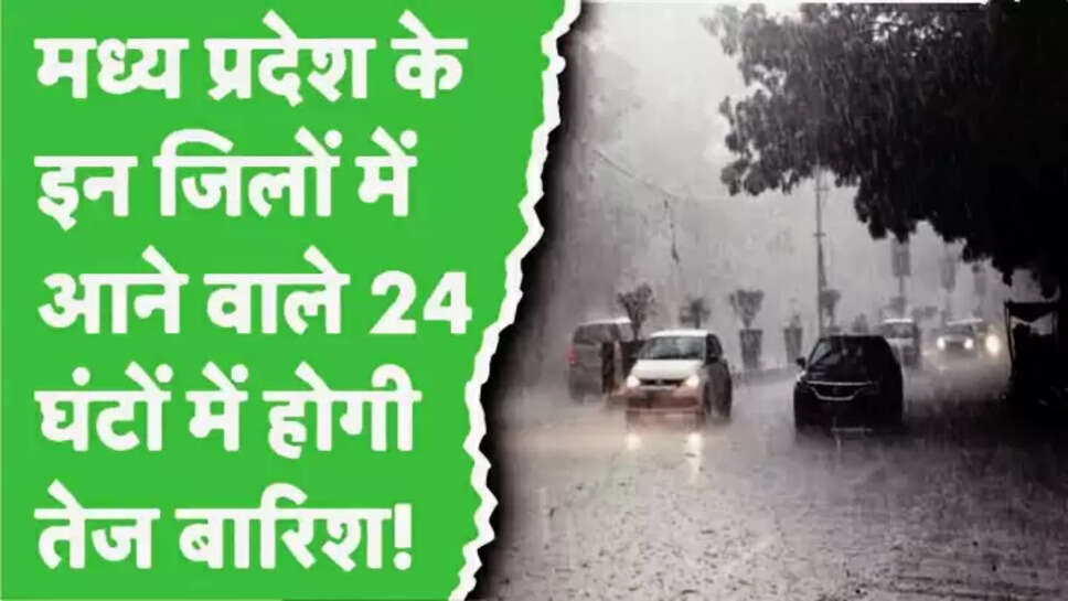MP weather