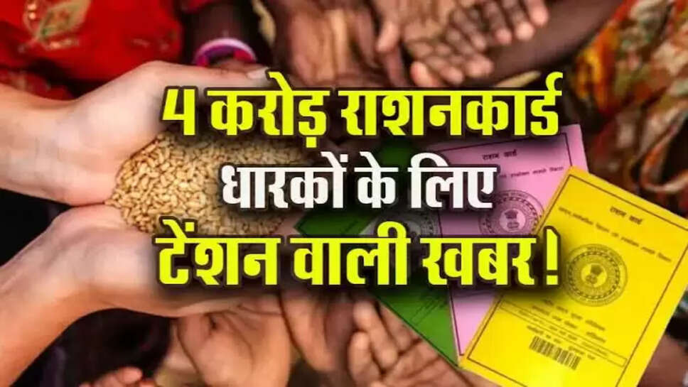 Mp news
