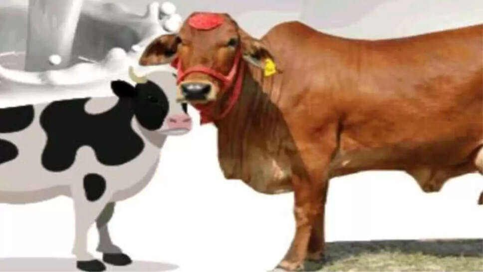  टीका पशुपालन 
