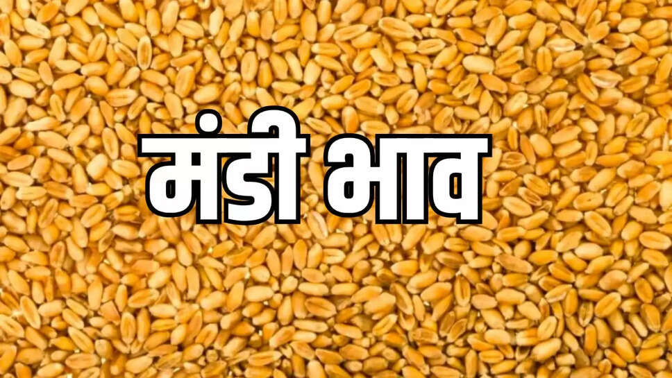 wheat trade