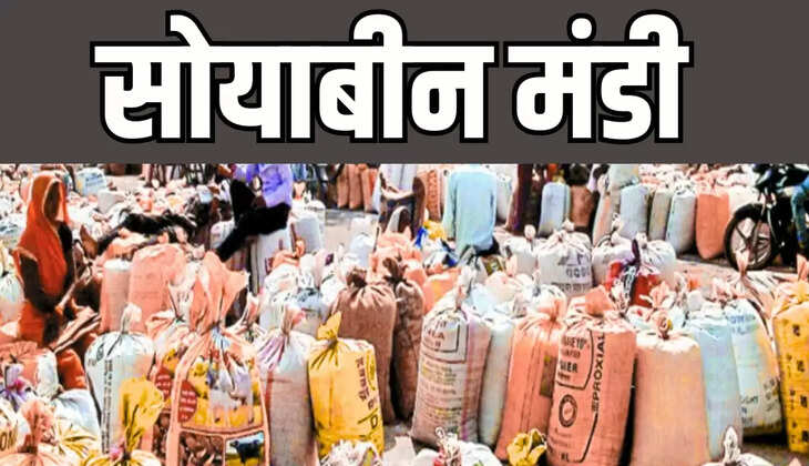 Soybean oil prices rise plants