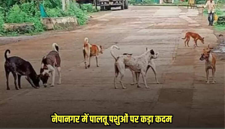 Burhanpur news, MP news,