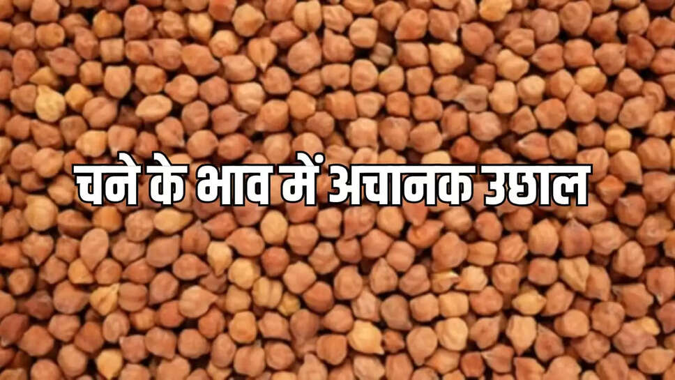 :चने के भाव 