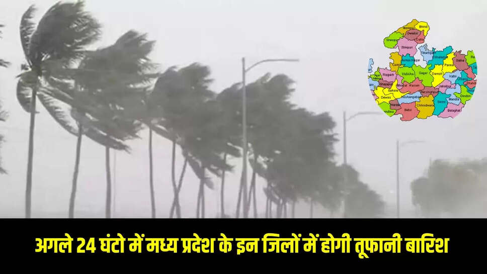 MP weather news