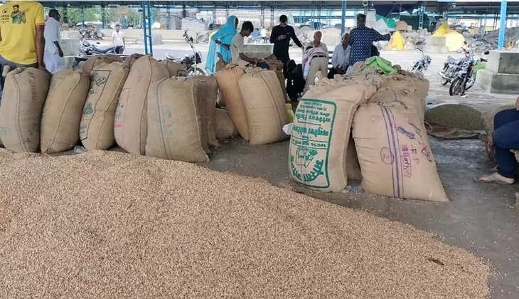 सोयाबीन