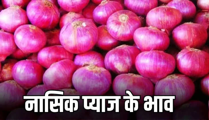  nashik shed tears prices