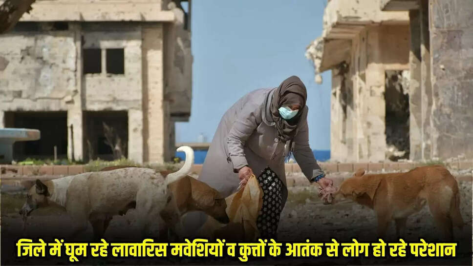 Mandsaur News