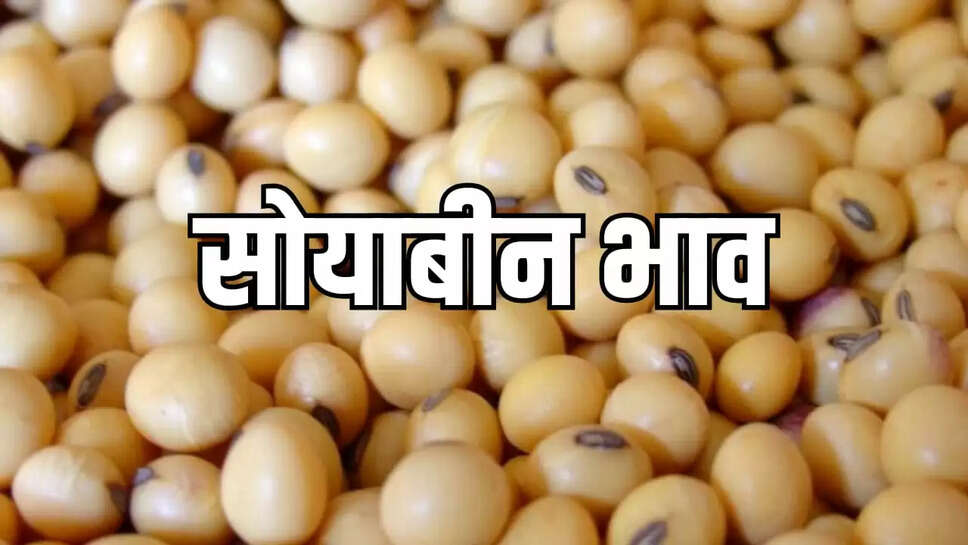 सोयाबीन