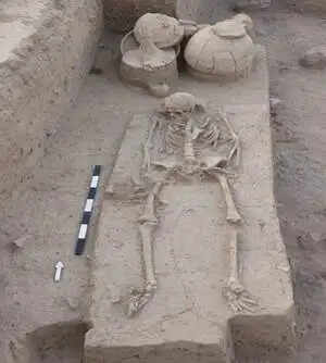 skelton1