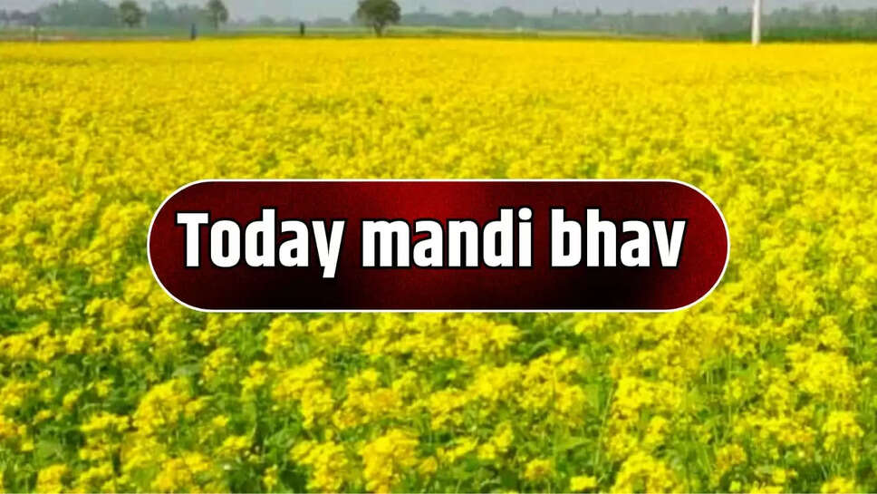 Today mandi bhav