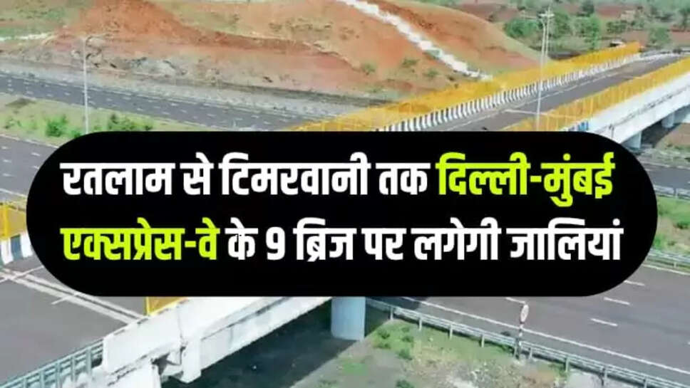 Delhi Mumbai Expressway