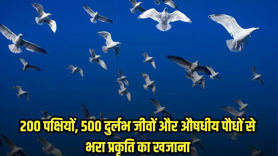 Mandsaur News