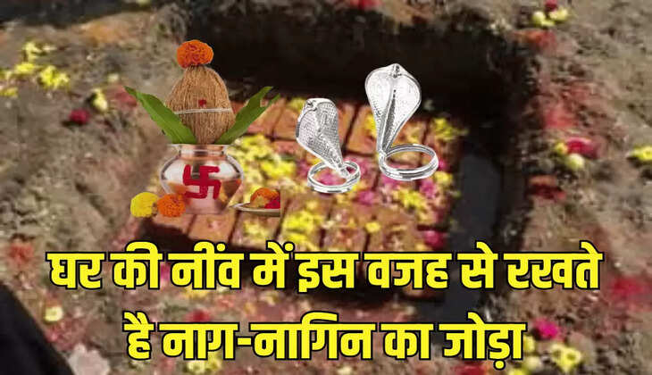 घर की नींव में इस वजह से रखते है नाग-नागिन का जोड़ा