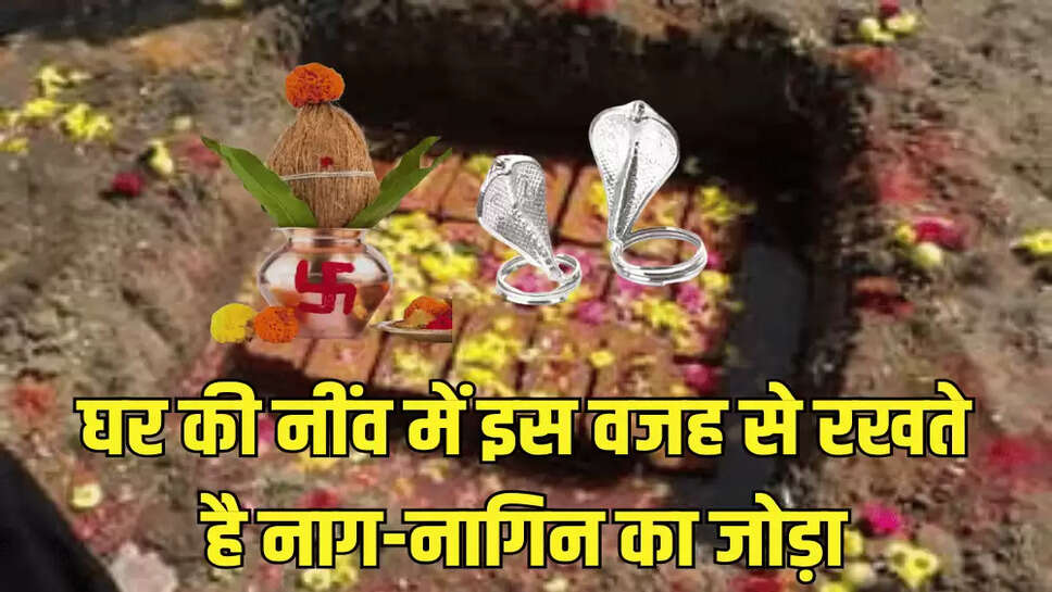 घर की नींव में इस वजह से रखते है नाग-नागिन का जोड़ा