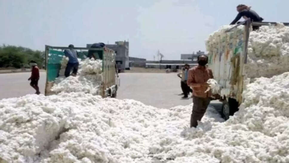 Cotton prices 