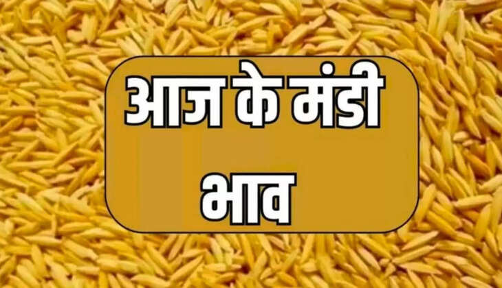 Today market price 