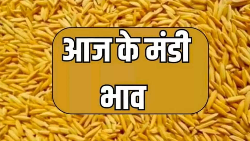 Today market price 