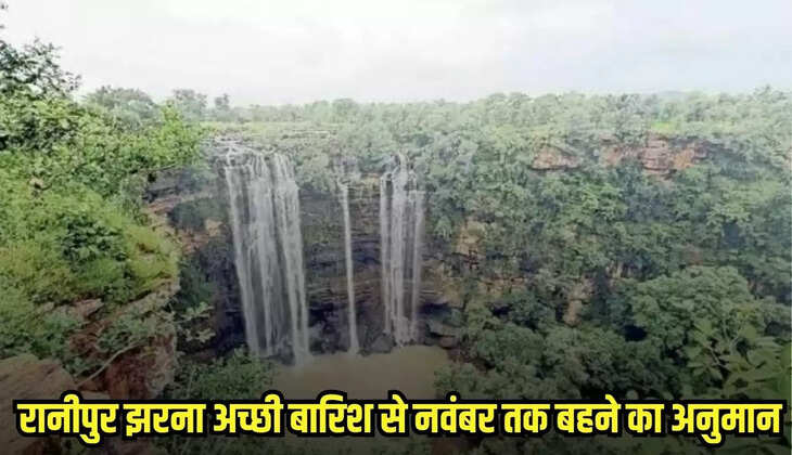 Chhatarpur news, MP news,