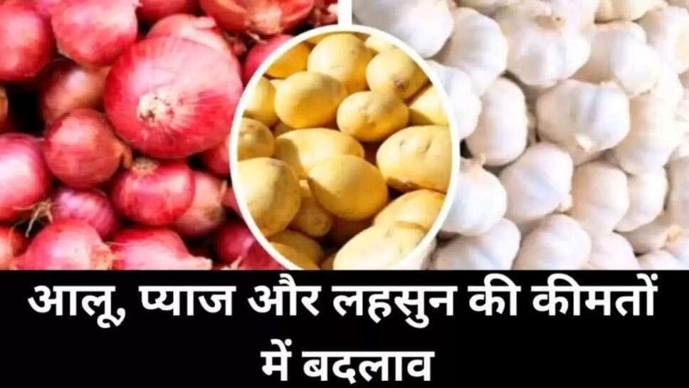 Mandi bhav 11 July