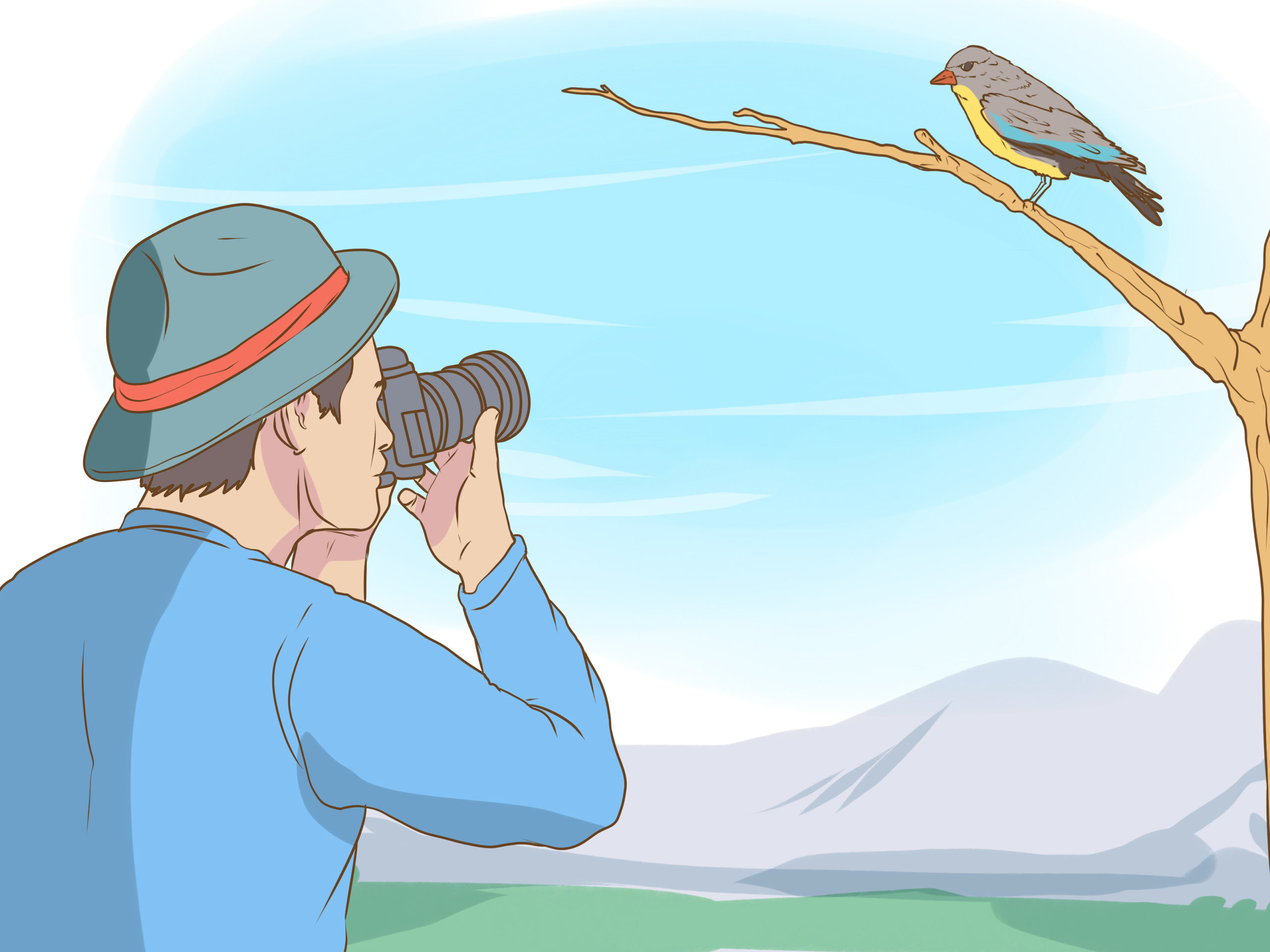 birds watcher