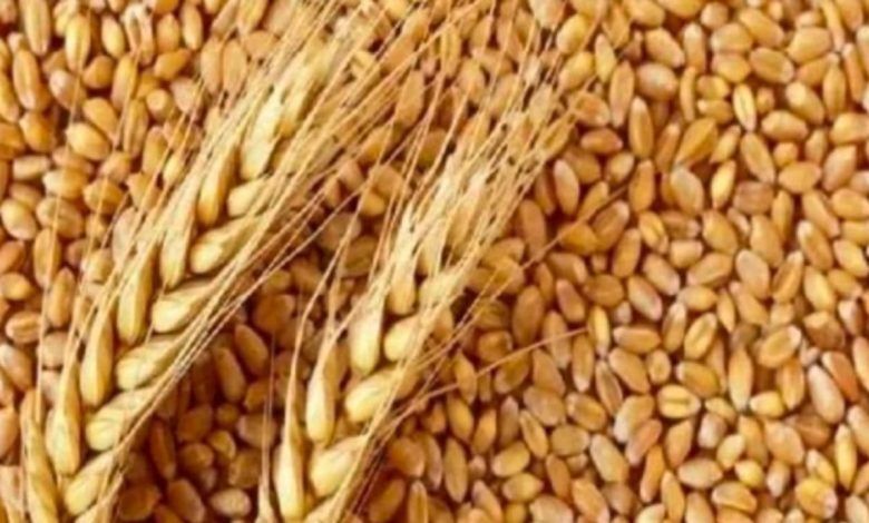 Mp wheat parchse