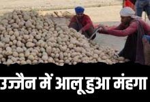 Potato became expensive Ujjain see price became