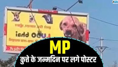 MP, Dewas, Dog poster, Dog birthday MP,