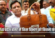 Madhya Pradesh budget 2025