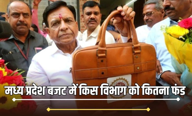 Madhya Pradesh budget 2025