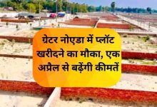 Opportunity to buy plots