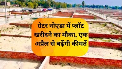 Opportunity to buy plots